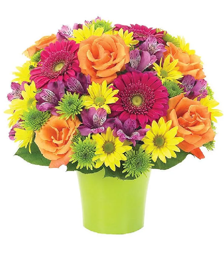 Brilliance Bouquet