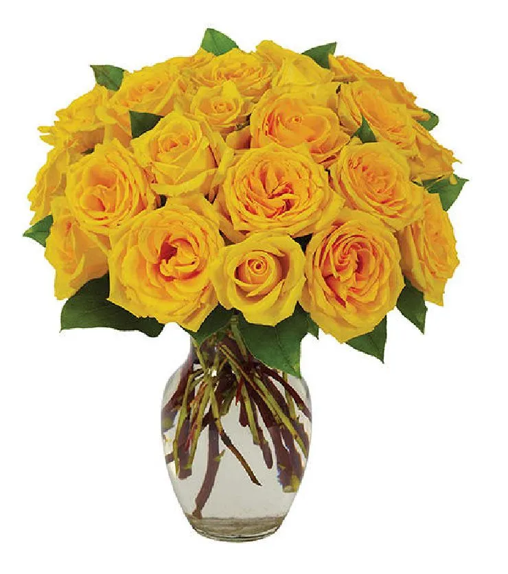 YELLOW ROSE BOUQUET