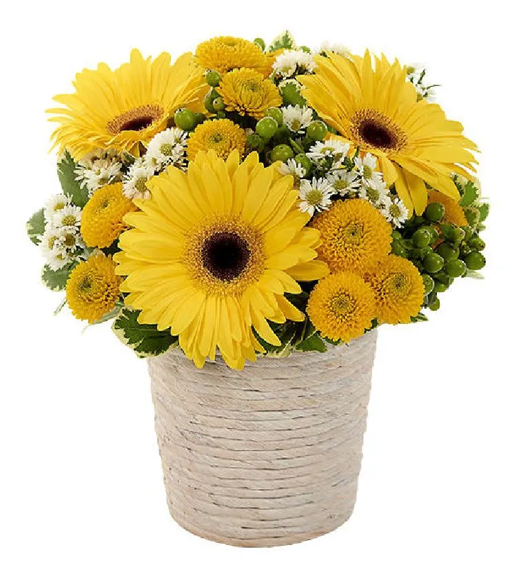 Sunny Day Dream Bouquet